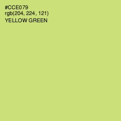 #CCE079 - Yellow Green Color Image