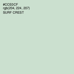 #CCE0CF - Surf Crest Color Image