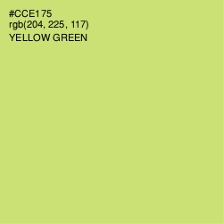 #CCE175 - Yellow Green Color Image