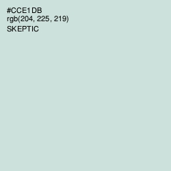 #CCE1DB - Skeptic Color Image