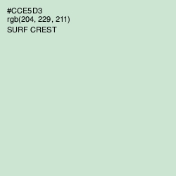 #CCE5D3 - Surf Crest Color Image