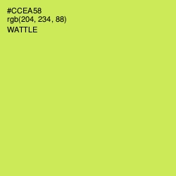 #CCEA58 - Wattle Color Image