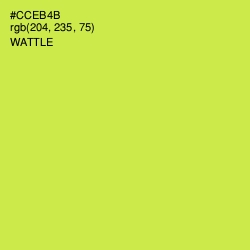 #CCEB4B - Wattle Color Image