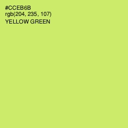 #CCEB6B - Yellow Green Color Image