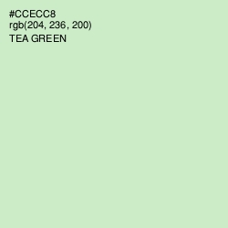 #CCECC8 - Tea Green Color Image