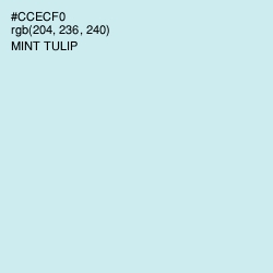 #CCECF0 - Mint Tulip Color Image