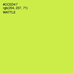 #CCED47 - Wattle Color Image