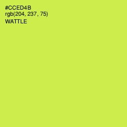 #CCED4B - Wattle Color Image