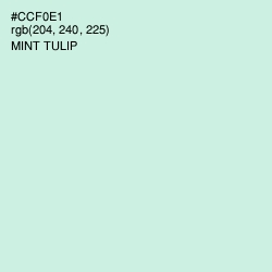 #CCF0E1 - Mint Tulip Color Image