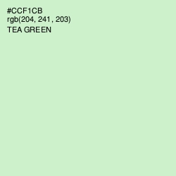 #CCF1CB - Tea Green Color Image