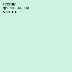 #CCF3E1 - Mint Tulip Color Image