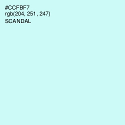 #CCFBF7 - Scandal Color Image