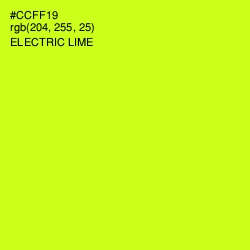 #CCFF19 - Electric Lime Color Image
