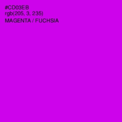 #CD03EB - Magenta / Fuchsia Color Image