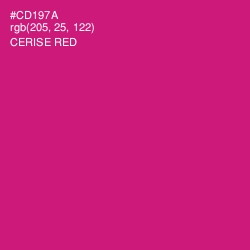 #CD197A - Cerise Red Color Image