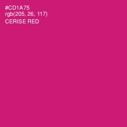 #CD1A75 - Cerise Red Color Image