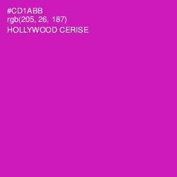 #CD1ABB - Hollywood Cerise Color Image