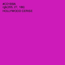 #CD1BBA - Hollywood Cerise Color Image