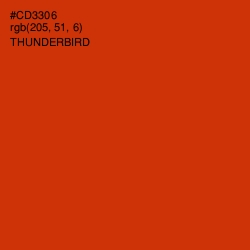 #CD3306 - Thunderbird Color Image