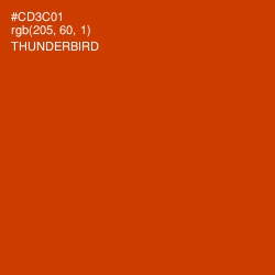 #CD3C01 - Thunderbird Color Image