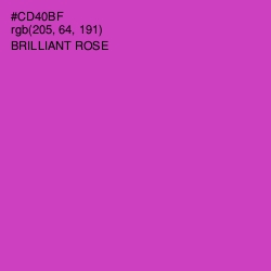 #CD40BF - Brilliant Rose Color Image