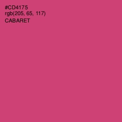 #CD4175 - Cabaret Color Image