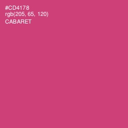 #CD4178 - Cabaret Color Image