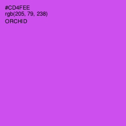 #CD4FEE - Orchid Color Image