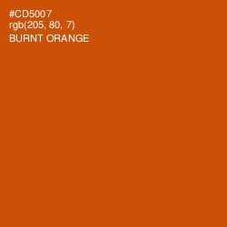 #CD5007 - Burnt Orange Color Image