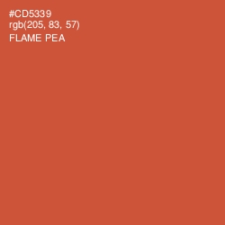 #CD5339 - Flame Pea Color Image