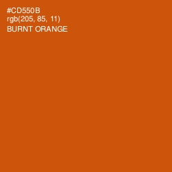 #CD550B - Burnt Orange Color Image