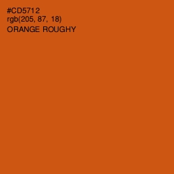 #CD5712 - Orange Roughy Color Image