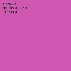 #CD57B1 - Hopbush Color Image
