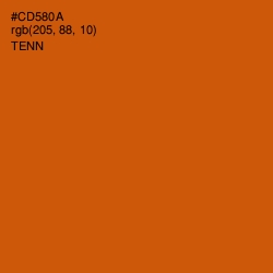 #CD580A - Tenn Color Image