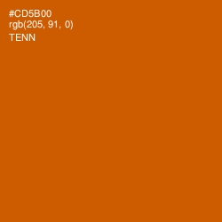 #CD5B00 - Tenn Color Image