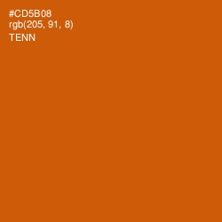 #CD5B08 - Tenn Color Image