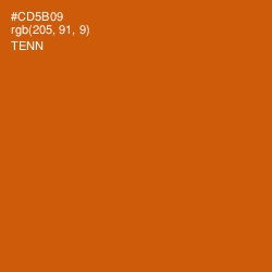 #CD5B09 - Tenn Color Image