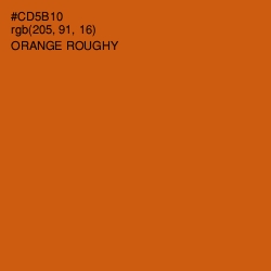 #CD5B10 - Orange Roughy Color Image