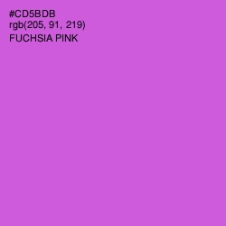 #CD5BDB - Fuchsia Pink Color Image