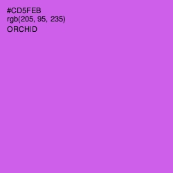 #CD5FEB - Orchid Color Image