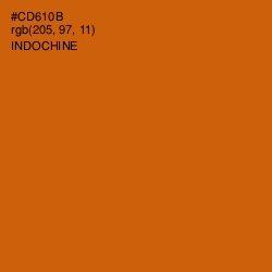 #CD610B - Indochine Color Image