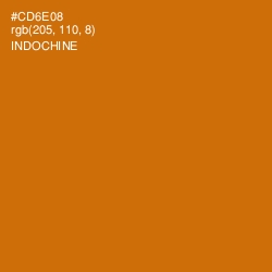 #CD6E08 - Indochine Color Image
