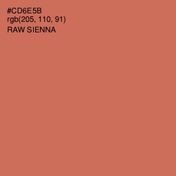 #CD6E5B - Raw Sienna Color Image