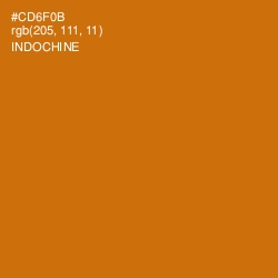 #CD6F0B - Indochine Color Image