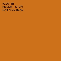 #CD711B - Hot Cinnamon Color Image