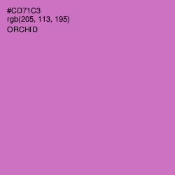 #CD71C3 - Orchid Color Image