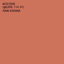 #CD725B - Raw Sienna Color Image