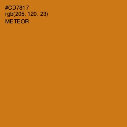 #CD7817 - Meteor Color Image
