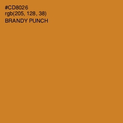 #CD8026 - Brandy Punch Color Image