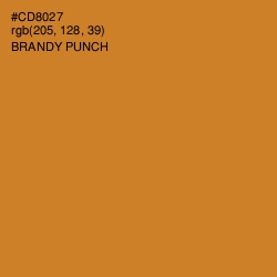 #CD8027 - Brandy Punch Color Image